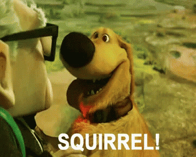 A Cartoon Dog Says Squirrel To A Man In Glasses GIF
