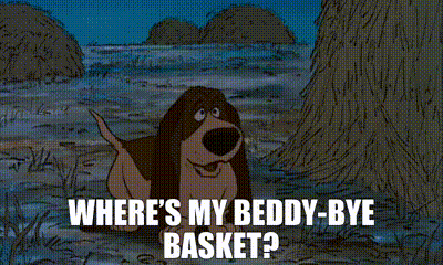 A Cartoon Dog Says Where 'S My Beddy Bye Basket GIF