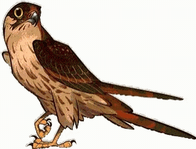 A Cartoon Drawing Of A Bird With A Long Tail . GIF