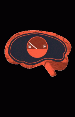 Brain Drawing With E And F Letters GIF