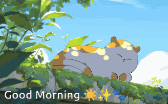 Cat Lying On Rock Good Morning GIF