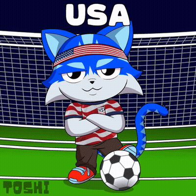 A Cartoon Drawing Of A Cat Wearing An Usa Shirt GIF