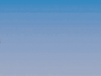 A Cartoon Drawing Of A Cat With Flowers On His Head GIF