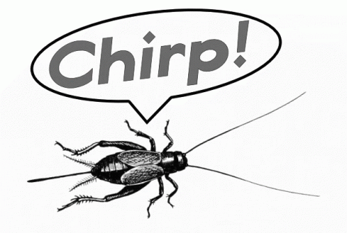 A Cartoon Drawing Of A Cockroach With A Speech Bubble That Says Chirp GIF