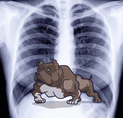 A Cartoon Drawing Of A Dog Standing In Front Of An X-Ray Of A Chest GIF