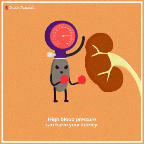 A Cartoon Drawing Of A Kidney And A Blood Pressure Gauge Says High Blood Pressure Can Harm Your Kidney GIF