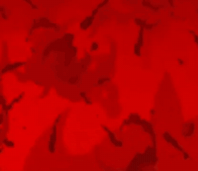 A Cartoon Drawing Of A Monster With A Red Background .. GIF