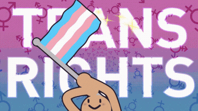 A Cartoon Drawing Of A Person Holding A Transgender Flag With The Words Trans Rights In The Background GIF