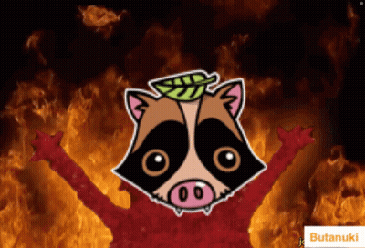 A Cartoon Drawing Of A Raccoon With A Leaf On Its Head And Butanuki In The Corner GIF
