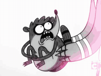 A Cartoon Drawing Of A Raccoon With The Letter C On The Bottom Right GIF