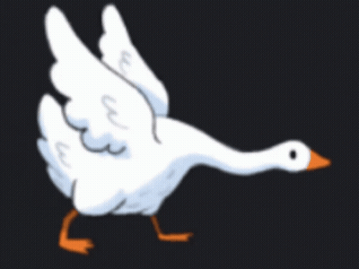 A Cartoon Drawing Of A White Goose With An Orange Beak GIF