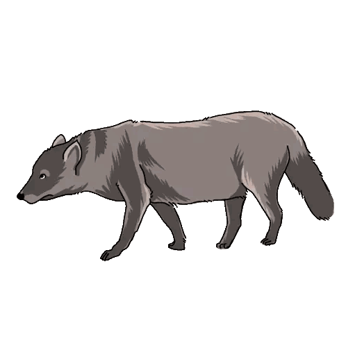 A Cartoon Drawing Of A Wolf With A White Background Sticker