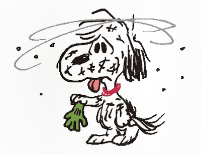 A Cartoon Drawing Of Snoopy Holding A Bag Of Greens . GIF