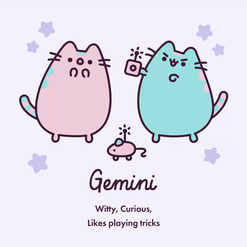 A Cartoon Drawing Of Two Cats With The Name Gemini On It GIF