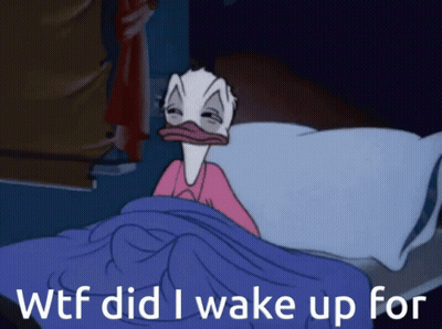 A Cartoon Duck Is Laying In Bed With The Words Wtf Did I Wake Up For GIF