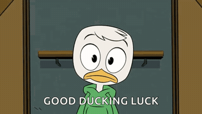 A Cartoon Duck Wearing A Green Hoodie Says Good Ducking Luck GIF