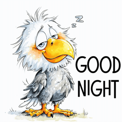 A Cartoon Eagle Sleeping With The Words Good Night Behind It GIF