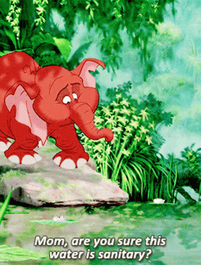 A Cartoon Elephant Is Standing On A Rock Near A Body Of Water And Says " Mom Are You Sure This Water Is Sanitary " GIF