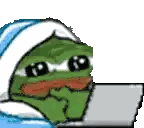 A Cartoon Frog Is Sitting In Front Of A Laptop . Sticker
