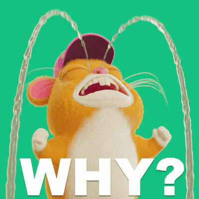 A Cartoon Hamster Is Crying With Water Coming Out Of Its Eyes And The Question Why Is Written Below It GIF