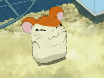 A Cartoon Hamster Is Sitting In A Pile Of Sand . GIF
