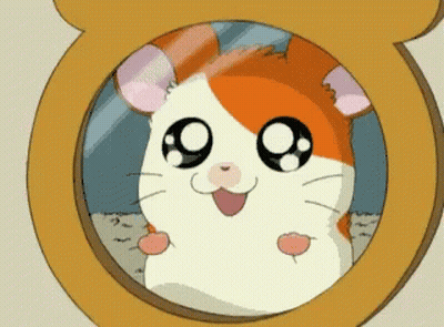A Cartoon Hamster Looks At Itself In A Mirror GIF