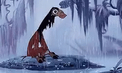 A Cartoon Horse Is Standing In The Rain On A Rock . GIF