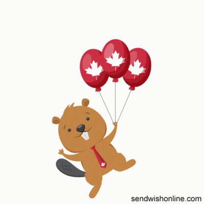 A Cartoon Illustration Of A Beaver Holding Three Balloons With Canadian Leaves On Them GIF