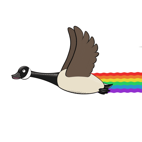 A Cartoon Illustration Of A Goose Flying With A Rainbow Trail Behind It GIF