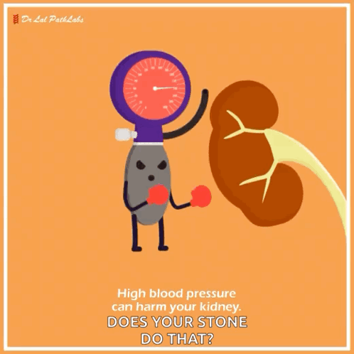 A Cartoon Illustration Of A Kidney And A Blood Pressure Gauge GIF