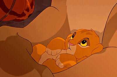 A Cartoon Lion Cub Is Laying In A Box GIF
