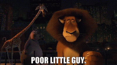 A Cartoon Lion With The Words `` Poor Little Guy '' Written On It GIF