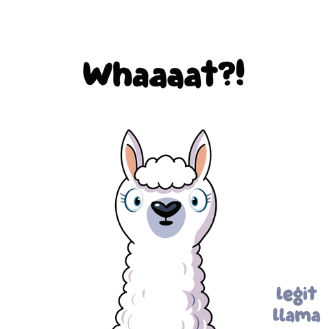 A Cartoon Llama With A Surprised Expression And The Words Whaaaat Below It GIF