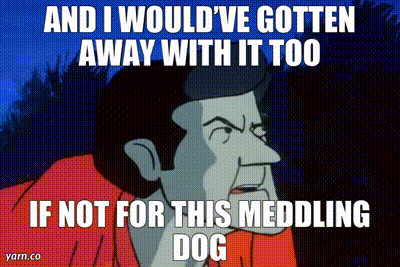 A Cartoon Man Says " And I Would Ve Gotten Away With It Too If Not For This Meddling Dog " GIF