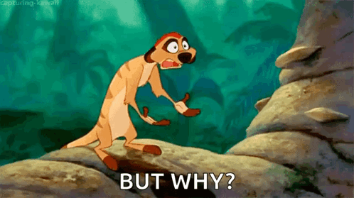 A Cartoon Meerkat Is Standing On A Rock And Asking But Why GIF