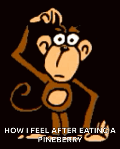 A Cartoon Monkey Is Scratching His Head With The Words How I Feel After Eating A Pineberry GIF