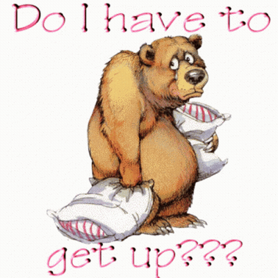 A Cartoon Of A Bear Holding Two Pillows With The Words Do I Have To Get Up GIF