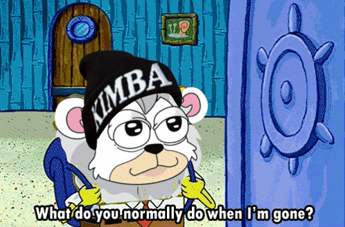 A Cartoon Of A Bear Wearing A Kimba Beanie GIF