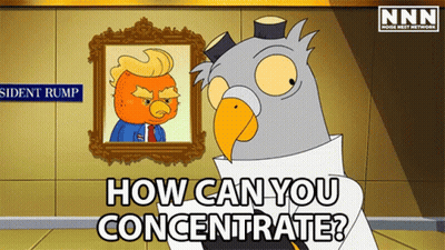 A Cartoon Of A Bird Asking How Can You Concentrate In Front Of A Picture Of Trump GIF