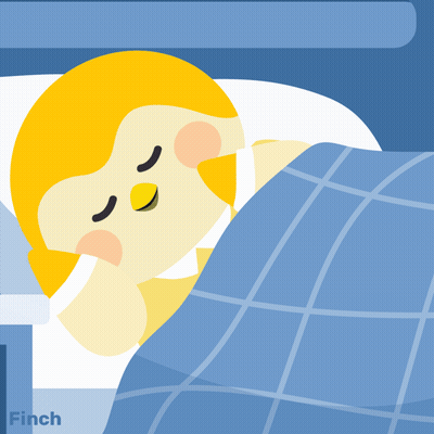 A Cartoon Of A Bird Sleeping Under A Blue Blanket With The Word Finch On The Bottom GIF