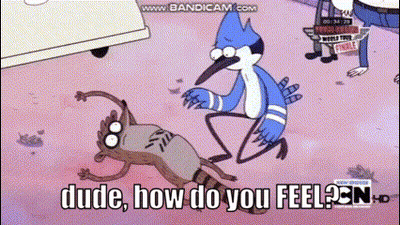 A Cartoon Of A Bird Standing Next To A Raccoon With The Words Dude How Do You Feel On The Bottom GIF