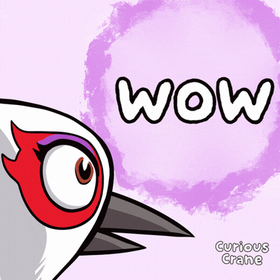 A Cartoon Of A Bird With The Word Wow Written On It GIF
