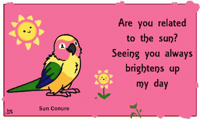 A Cartoon Of A Bird With The Words " Are You Related To The Sun Seeing You Always Brightens Up My Day " Below It GIF