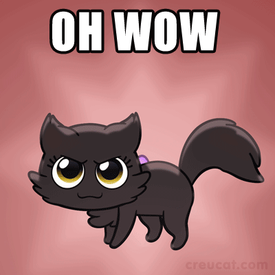 A Cartoon Of A Black Cat With The Words " Oh Wow " Above It GIF
