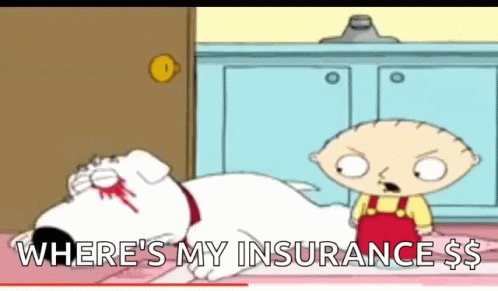 A Cartoon Of A Boy Standing Next To A Dog That Says Where 'S My Insurance $ . GIF