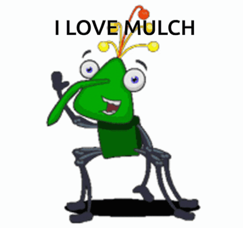 A Cartoon Of A Bug That Says I Love Mulch On It GIF