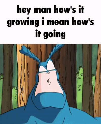 A Cartoon Of A Bug With The Words Hey Man How 'S It Growing I Mean How 'S It Going Below It GIF