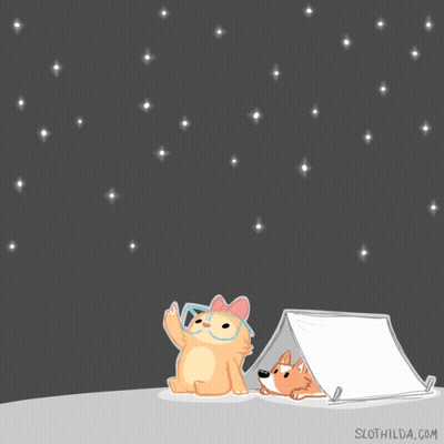 A Cartoon Of A Cat And A Dog In A Tent With Slothilda.com In The Bottom Right Corner GIF