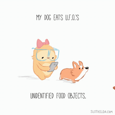 A Cartoon Of A Cat And A Dog With The Words " My Dog Eats U.f.o. 'S " GIF