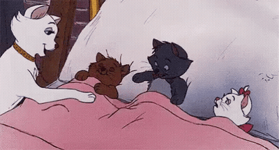 A Cartoon Of A Cat And Three Kittens Laying On A Bed . GIF